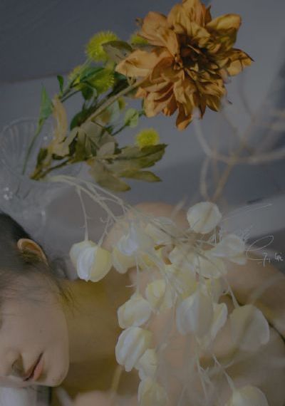 蜜桃视频免费观看_BD英语免费电视剧